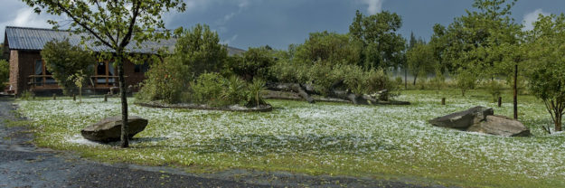 A field covered in hail after a hailstorm.